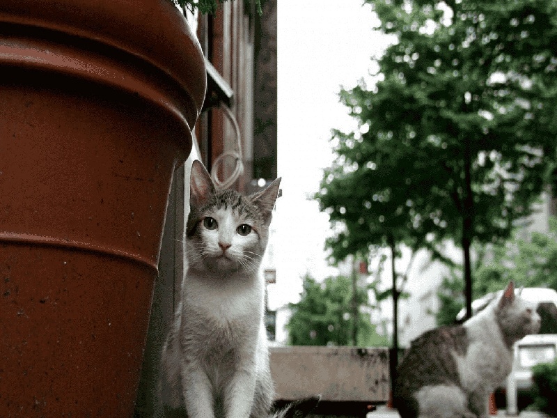 长沙最靠谱的代生,代生咨询：在长沙公立医院可